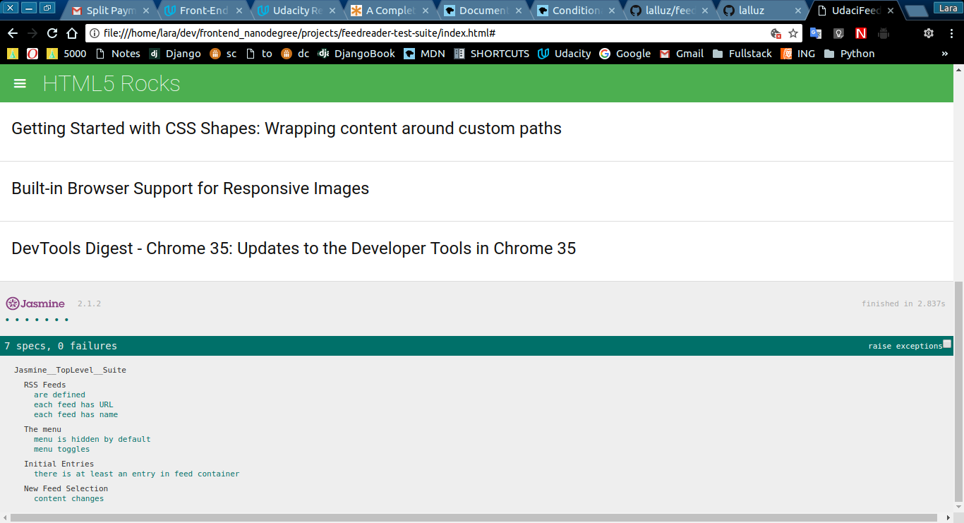 feedreader test suite screenshot